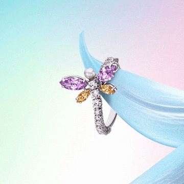 Anillos